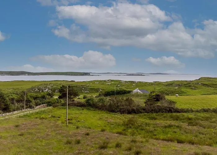 Homestay Cloonan House *